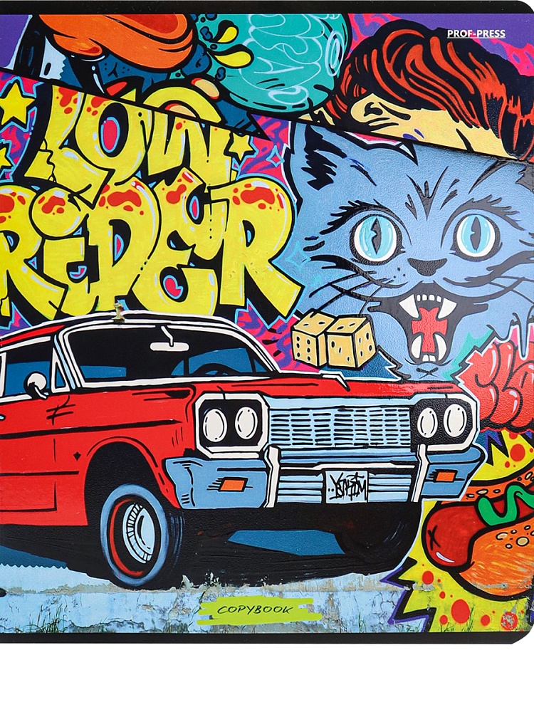 Тетрадь КЛЕТКА 48л. МОЛОДЁЖНЫЕ ДИЗАЙНЫ (48-2417) твин-лак, цвет.мелов.обл., 5 диз в спайке