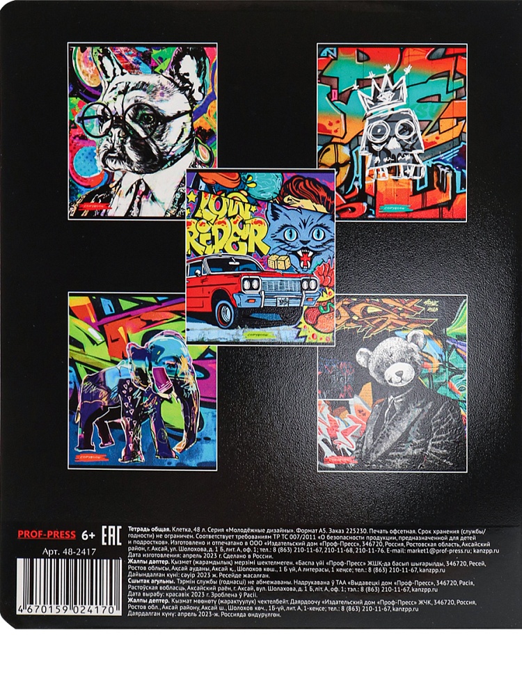 Тетрадь КЛЕТКА 48л. МОЛОДЁЖНЫЕ ДИЗАЙНЫ (48-2417) твин-лак, цвет.мелов.обл., 5 диз в спайке