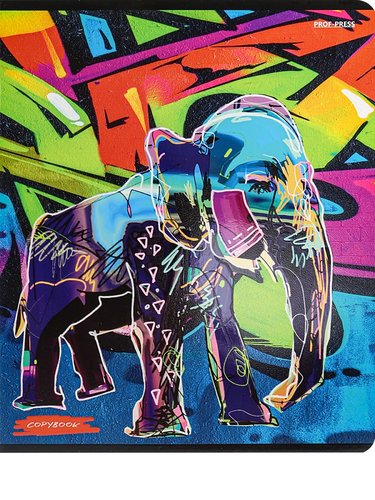 Тетрадь КЛЕТКА 48л. МОЛОДЁЖНЫЕ ДИЗАЙНЫ (48-2417) твин-лак, цвет.мелов.обл., 5 диз в спайке