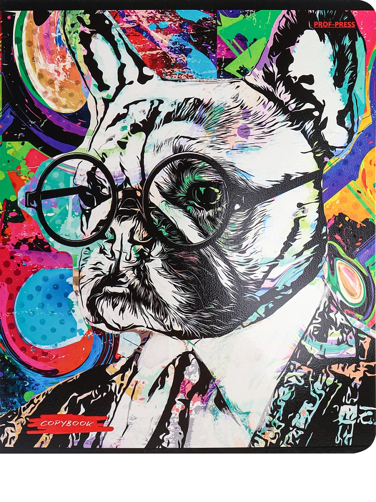 Тетрадь КЛЕТКА 48л. МОЛОДЁЖНЫЕ ДИЗАЙНЫ (48-2417) твин-лак, цвет.мелов.обл., 5 диз в спайке