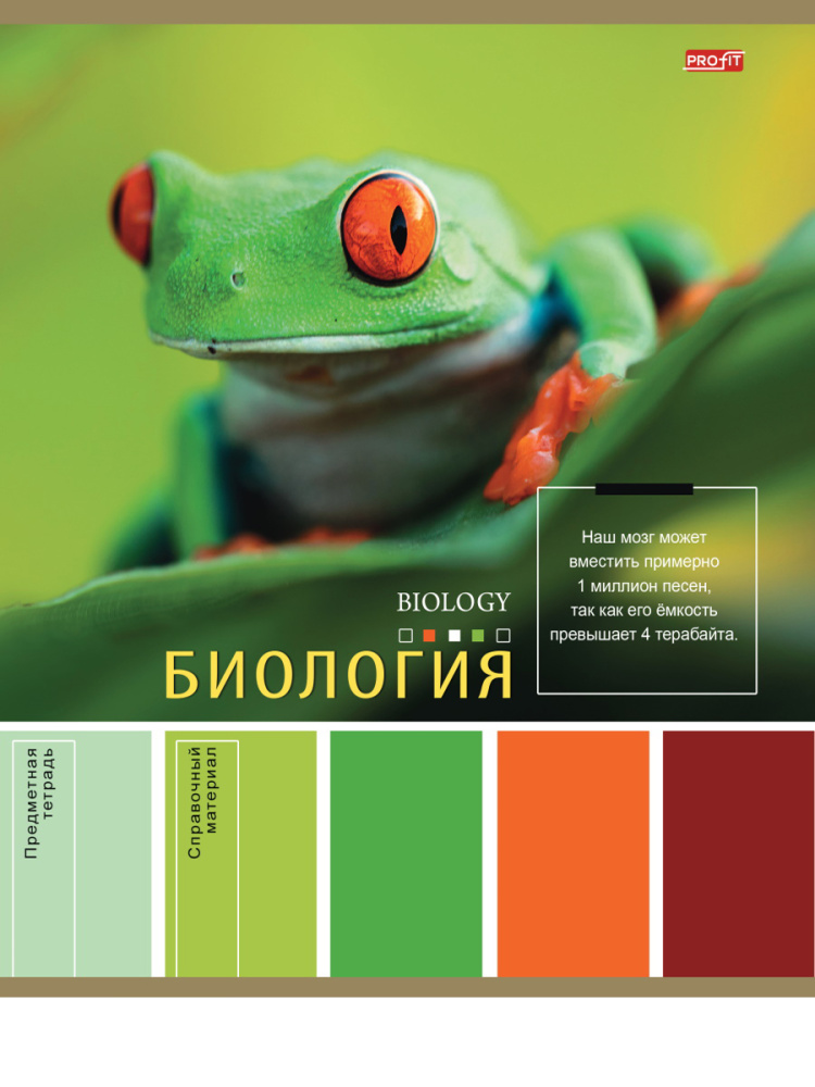 Тетрадь КЛЕТКА 36л. БИОЛОГИЯ «PANTONE» (36-9310) эконом, б/о