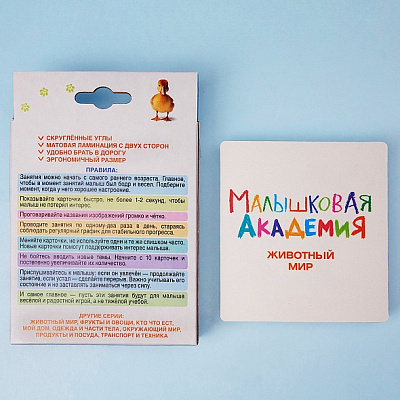 Карточки обучающие "Малышковая Академия. Животный мир" 60 карточек