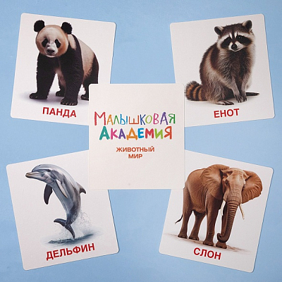 Карточки обучающие "Малышковая Академия. Животный мир" 60 карточек