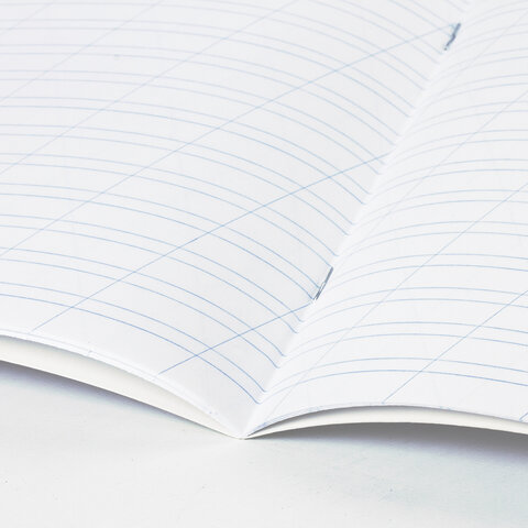 Тетрадь 12 л. BRAUBERG "КЛАССИКА NEW", косая линия, обложка картон, ЗЕЛЕНАЯ, 10568