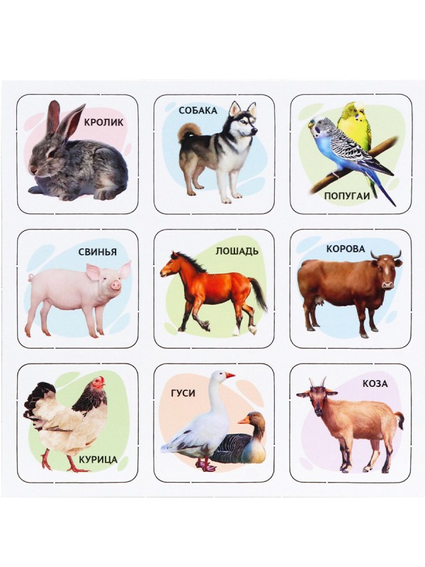 МЕМО (30 фишек) + ПАЗЛЫ (24 элемента). ДОМАШНИЕ ЛЮБИМЦЫ (Арт. МП-0366) другой стандарт