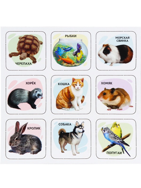 МЕМО (30 фишек) + ПАЗЛЫ (24 элемента). ДОМАШНИЕ ЛЮБИМЦЫ (Арт. МП-0366) другой стандарт