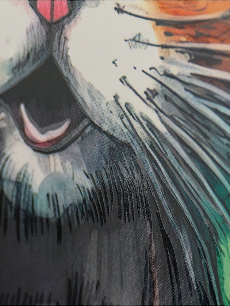 Скетчбук-гармошка для маркеров А5,16л. КОШАЧЬЕ УДИВЛЕНИЕ (08-9999) одност.,150г,мат лам выб лак