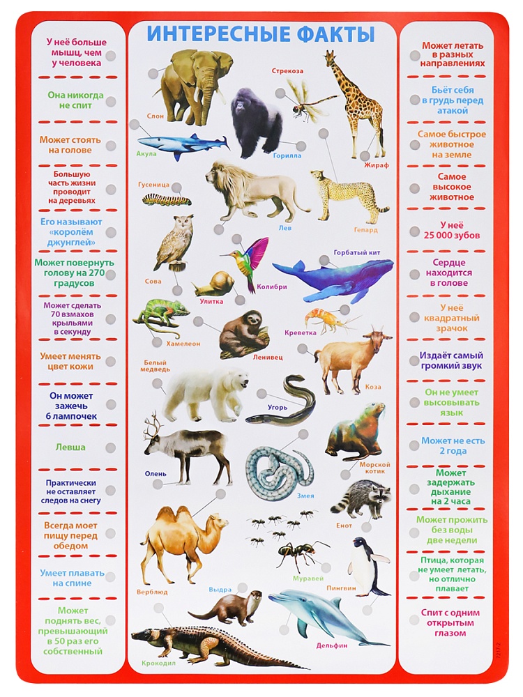 Электронная викторина "Всё обо всем" 6+ (Арт. ИН-7217)