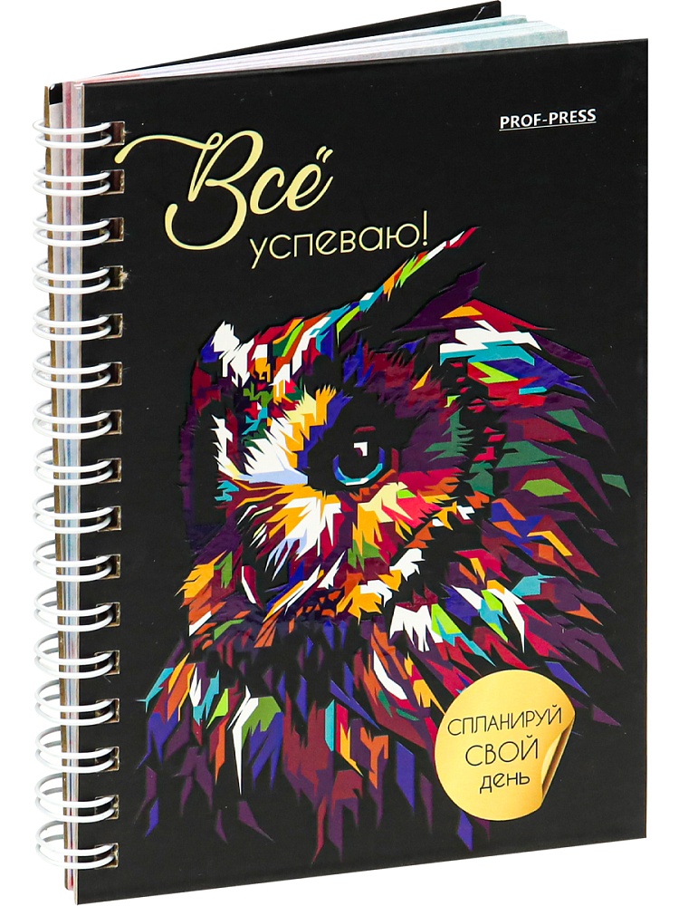 Ежедневник А6, 48л, СОВА (48-1557) 7БЦ,мат.лам, выб.лак, бл. офсет80г полноцв., 105х144