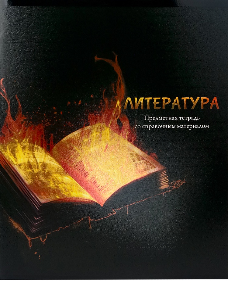 Тетрадь ЛИНИЯ 48л. ЛИТЕРАТУРА «МАГИЯ ПРЕДМЕТА» (Т48-1515) стандарт, хол ф.,тв.л