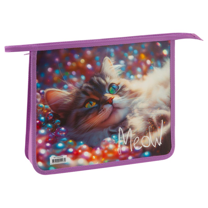 Папка для тетрадей 2 отделения, ArtSpace Striped Cat, А5, пластик, на молнии