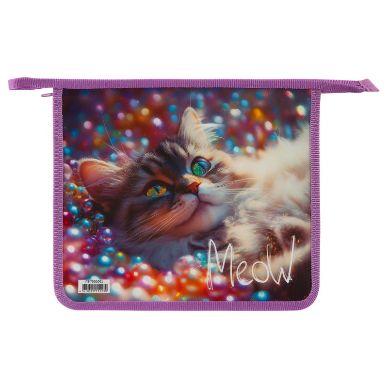 Папка для тетрадей 2 отделения, ArtSpace Striped Cat, А5, пластик, на молнии